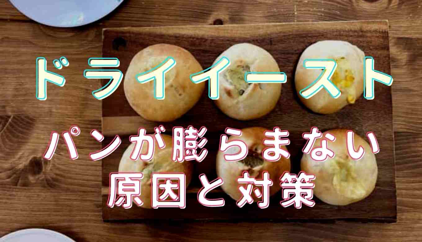 ドライイーストでパンが膨らまない原因はなに？パン 発酵 膨らまない 再利用